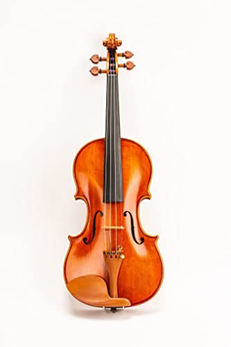 D Z Strad Modell 220 4/4 Violine mit Dominant Saiten, Bogen, Koffer, Kolophonium und Schulterstütze, offener klarer Ton 3/4 - Size