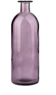 Bicuzat Vase en verre transparent à visage lisse pour fleurs, bourgeons, pot de fleurs hydroponiques pour la maison, le bureau, la chambre, la fête, violet, taille M