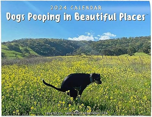 Kalender 2024 - Pooping Dogs Calendar | Hundekalender - Dogs Pooping In Beautiful Places Calendar | Kalender für Hunde | Zeichnen Sie den Wachstumskalender eines Hundes auf