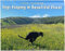 Kalender 2024 - Pooping Dogs Calendar | Hundekalender - Dogs Pooping In Beautiful Places Calendar | Kalender für Hunde | Zeichnen Sie den Wachstumskalender eines Hundes auf