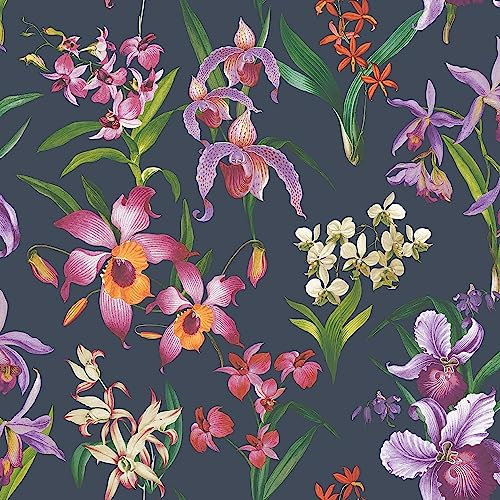 Maya Floral Navy Wallpaper - Vibrant Colourful Naturistic Blossoming - Modern Contemporary Feature Wall