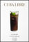 KUSTOM ART Wandbilder Wandbild Serie Aperitivi & Cocktail Cuba Libre Druck auf Holz 30 x 21 cm.