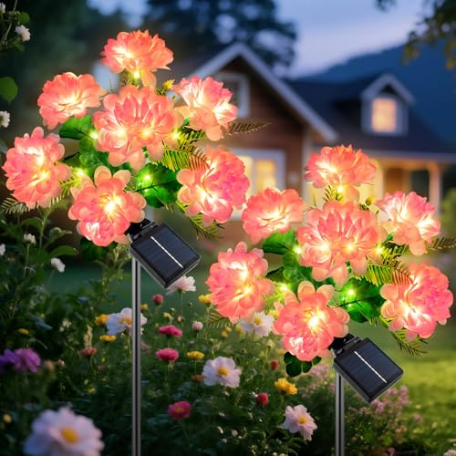 Ninonly Solarlampen für Außen Garten, 2 Stück Chrysanthemen mit Warmweiß LED, 8 Modi Solarleuchten Draußen, Wasserdicht Blumen Gartenlampen Outdoor, Garten Deko für Yard Rasen Terrasse Weihnachten