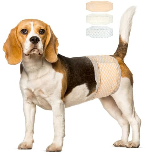 Pet Soft Hundewindeln - Einweg-Hundewindeln für Rüden, Welpenwindeln, Inkontinenz-Windeln für Rüden,12 Stück,superabsorbierende Hundewindeln für Hunde bei Harninkontinenz, M(18-25’’)