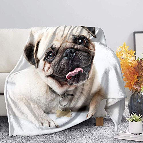 SEANATIVE Flanelldecke mit niedlichem Mops-Aufdruck, für Herbst, Winter, Frühling, alle Jahreszeiten, warm, flauschig, extra weich, für Kinder, Erwachsene, Größe M