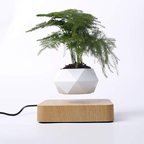 Schwebender Bonsai-Topf, magnetischer Schwebe-Blumentopf für Zuhause, Büro, Dekoration