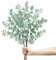 ROLLWAY 3 Stück Eukalyptus Deko 86cm Lang, Künstliche Eukalyptus Zweige Künstlich wie Echt Kunst Eucalyptus Groß Eukalyptusblätter Dekozweige Grün Blätter für Bodenvase, Tischdeko, Hochzeit, Garten