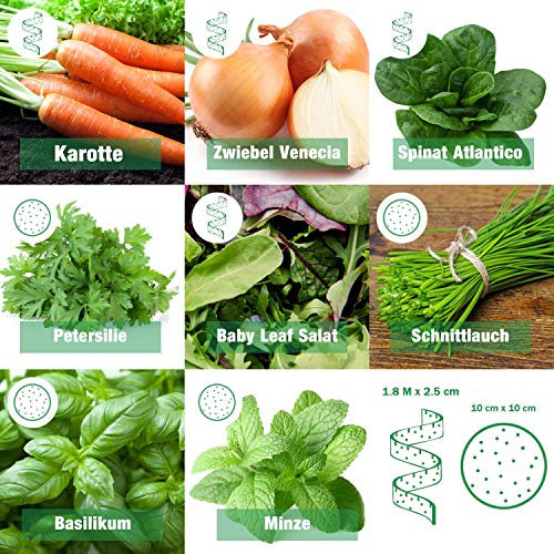 Gemüse und Kräuter Samenset Kinderleicht | 8 verschiedene Arten als praktisches Saatband und Saatscheibe | 4x Gemüse Saatband 4x Gemüse Saatscheibe | Pflanzensamen Gemüse Garten Geschenke