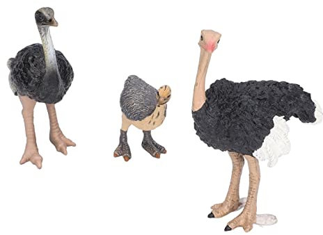 SPYMINNPOO Strau?-Figuren-Set, Handbemalt, Zum Ausmalen, Exquisite Handwerkskunst, Feine Verarbeitung, Bequemer Griff, Tierfiguren