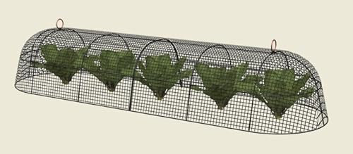 Panacea Modern Farmhouse 2 Piece Cloche, Black, Copper ring