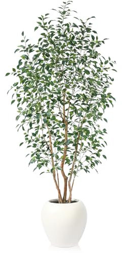 Kazeila 240cm Large Artificial Ficus Tree with White Planter,UV Resistant Rated Fake Plants,Faux Plastic Tree for Home Decor, Indoor Outdoor Decoration(1 Pack)