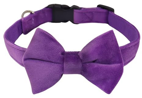 WDPAWS Hundehalsband mit Fliege, weiches Samtmaterial mit Schnellverschluss-Schnalle für mittelgroße Hunde (Lila, M)
