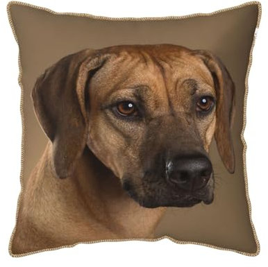 YounPrenG Kissen, Kissenbezüge aus Samt mit goldenem Rand, Kissenbezüge, Dekokissen für Zuhause, Bett, Sofa, Auto,Rhodesian Ridgeback