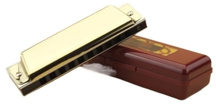 Erwachsene Mundharmonika 10-Loch-Blues-Mundharmonika-Einsteigerinstrument(Gold)
