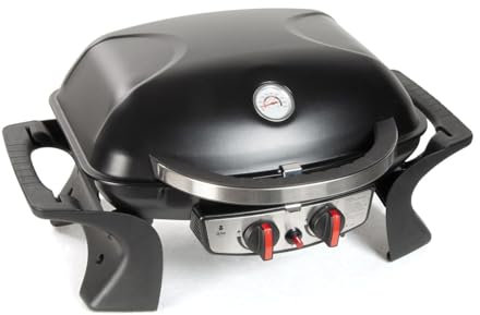 Barbecue Portatile a Gas, 2 Fuochi da 2,5 kW, Griglia 52x39 cm, Nero