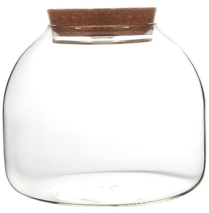 Terrario de Vidrio para Plantas 1600 ml con Tapa de Corcho Abertura para Mini suculentas paisajismo y arreglos Florales.