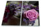 decorwelt | Herdabdeckplatten 2x30x52 cm Ceranfeld 2-Teilig Universal Elektroherd Induktion für Kochplatten Herdschutz Deko Schneidebrett Sicherheitsglas Spritzschutz Glas Blumen Pink Rose