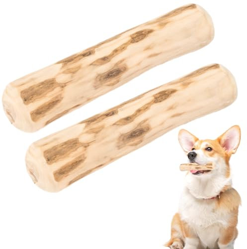 MOLZINY 2 pezzi Bastoncino da Masticare in Legno per Cani Bastone da Masticare in Legno d’Ulivo per Cani Giocattolo da Masticare per Cani Cane Masticativi Legno Osso Masticare in Legno,13-14CM