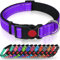 Taglory Hundehalsband, Weich Gepolstertes Neopren Nylon Hunde Halsband für Große Hunde, Verstellbare und Reflektierend für das Training, Lila