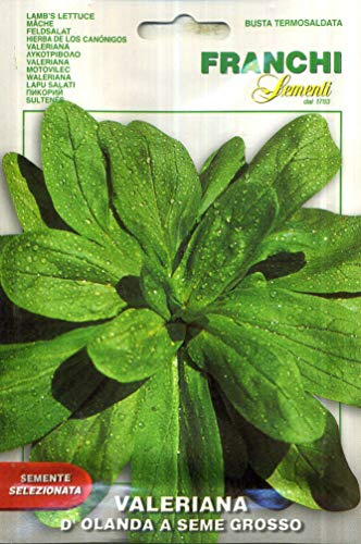 SEMENTI DI ORTAGGI DI QUALITA' PER USO HOBBYSTICO IN BUSTINA TERMOSALDATA (VALERIANA D'OLANDA A SEME GROSSO)