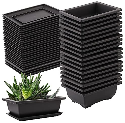 SEUNMUK Bonsai-Trainingstöpfe aus Kunststoff, 16,5 cm, dick, rechteckig, mit 25 Tabletts für Garten, Bonsai-Pflanzen, Anzuchttopf für Zuhause, Büro, Balkon, Garten und Hof, 25 Stück