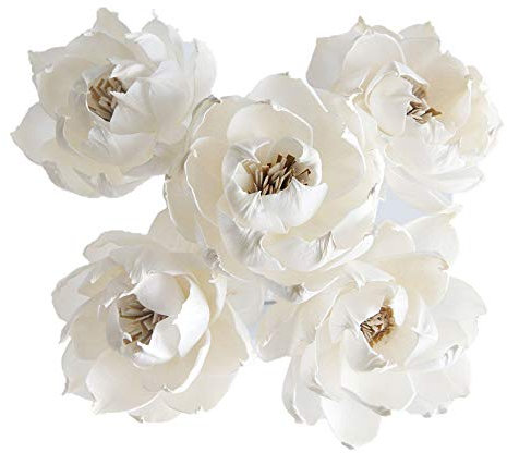 Schilfdiffusor 5 Peony Auguste Dessert, 7,6 cm, gemischte Sola-Blume für Zuhause von Plawanature