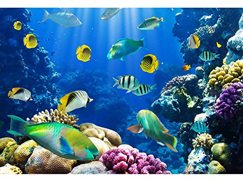 Aoihrraan 1,5x1m Unterwasser Welt Hintergrund Aquarium Meeresboden Korallen Fische blau Ozean Fotografie Hintergrund Sommer Camp Tauchen Party Kinder Geburtstag Kuchen Tisch Dekor Foto Requisiten
