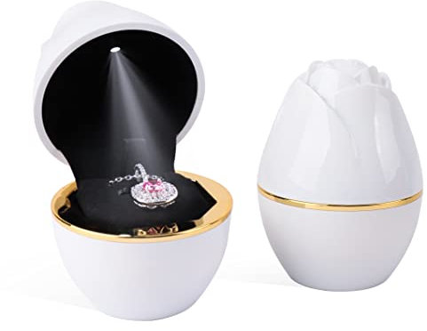 Rolin Roly Scatola per Collana Regalo Scatola a Forma di Rosa per Pendente Collana LED Scatole Regalo Bianco per Gioielli Necklace Box with Light (White)