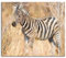Anmutiges Zebra in Savanne Herdabdeckplatte & Spritzschutz aus Echtglas | Für Herd-Kochfelder | 60x52 cm
