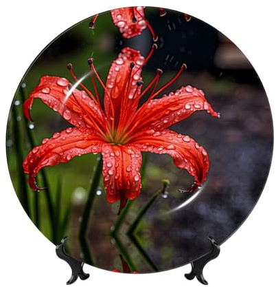 POEZJZW Dekorative Teller aus Knochenporzellan, rote Lilien in Blüte, perfekte Dekoration für Zuhause, Büro und Café, 15,2 cm