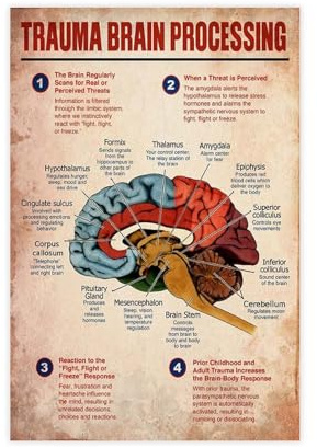 NEOHI Trauma Brain Processing Knowledge Vintage-Leinwandkunst, Poster und Drucke, Raum-Ästhetik, Schlafzimmer, Büro, Dekoration, 30 x 45 cm