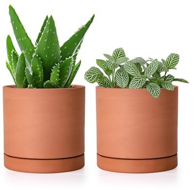 D'vine Dev X-Small 4 Inch Terracotta Plant Pot with Drainage Hole and Saucer, Round Cylinder Planter Pot for Indoor Plants, Set of 2, 40-X-B-1