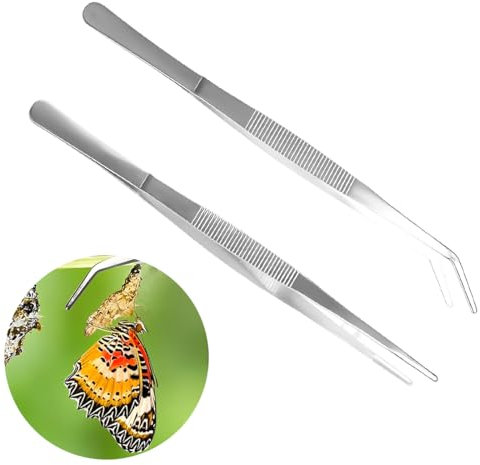 BIRLOZA Pinzas Curvas Pinzas romas 14 cm Acero Inoxidable Profesionales Antideslizantes largas Rectas 2 Unidades minipinzas anguladas para Mascotas acuáticas corales Manualidades reparación de