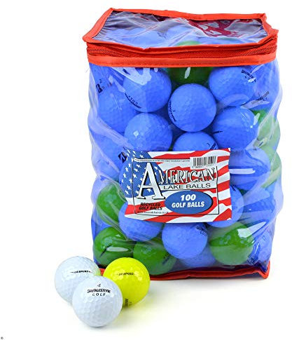 Second Chance Bridgestone e6 Speed Grade A Lake Golf Bälle mit wiederverwendbar Aufbewahrungstasche, Unisex, BRI-E6SPEED-100-A-BAG, weiß, Size 100