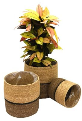 Garden Gear Chia Seagrass Planter Basket Indoor Planter with Interior Plastic Coating Hiding Plastic Pots 3 Pack (Natural Navy Seagrass Plante)