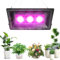 Profey Grow Light, P600W LED Full Spectrum Grow Light, IP67 Waterproof COB Plant Lamp, for Indoor Growing All Year Round, Hydroponics - Pink Light