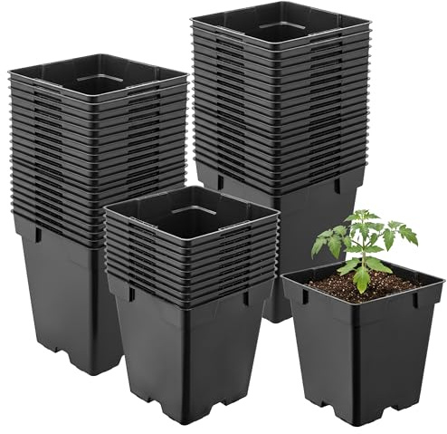 Garronda Pflanztopf Kunststoff 11 x 11 x 12 cm (1L) 50er Set eckig mit Drainagelöchern Blumentopf robust Pflanzentopf für Garten Gewächshaus Balkon Anzucht Innen Außenbereich Schwarz GD-0199