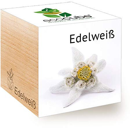 Feel Green 296527 Ecocube Edelweiß, Nachhaltige Geschenkidee (100% Eco Friendly), Grow Your Own/Anzuchtset, Pflanzen Im Holzwürfel, Made in Austria