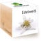Feel Green 296527 Ecocube Edelweiß, Nachhaltige Geschenkidee (100% Eco Friendly), Grow Your Own/Anzuchtset, Pflanzen Im Holzwürfel, Made in Austria