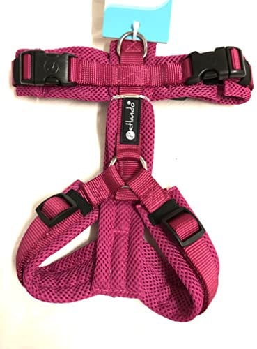 Petlando Brustgeschirr Mesh Y-Comfort Fuchsia S (Halsumfang34-62 cm, Brustumfang 44-60 cm