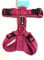 Petlando Brustgeschirr Mesh Y-Comfort Fuchsia S (Halsumfang34-62 cm, Brustumfang 44-60 cm