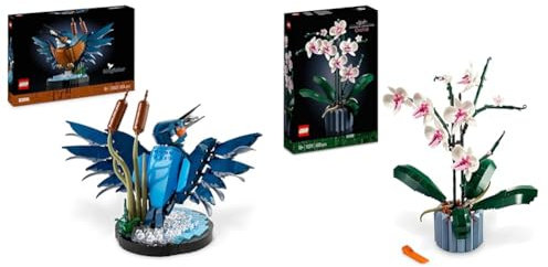 LEGO Icons Eisvogel Modellbausatz für Erwachsene, Vogel-Modell & Icons Orchidee, Künstliche Pflanzen Set mit Blumen, Modellbausatz