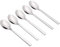 Lesbin Set of 12 Stainless Steel Tea Spoon, Small Teaspoon for Dessert, Coffee