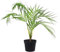Leaf Design UK Realistic Artificial Foliage Plant with Pot, Palm, 50cm