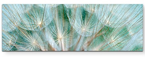 Paul Sinus Art Leinwandbilder | Bilder Leinwand 150x50cm Pusteblume – Nahaufnahme