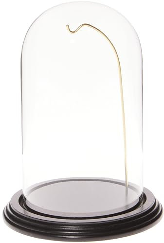 Plymor Cloche en verre pour montre 11,4 x 20,3 cm Base noire/fil doré.