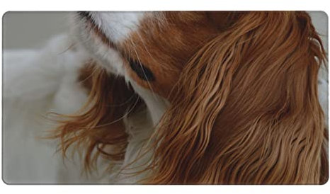 Tapis de souris motif chien mignon 40,6 x 74,9 cm base en caoutchouc antidérapant, tapis de souris lavable pour ordinateurs portables, maison, bureau et jeux