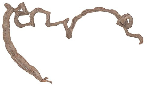 Lucky Reptile Korkenzieher-Liane dünn, 80-120 cm