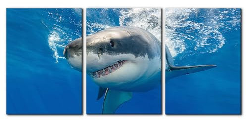 3-teiliges blaues Wandbild, Motiv: Weißer Hai, der Fische auf Guadalupe Island fängt, Bilder auf Leinwand, Tierbild, Dekoration für Zuhause, moderne Dekoration für Wohnzimmer, 50,8 x 71,1 x 7,1 x 7,6