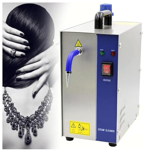 Nettoyeur à vapeur de bijoux professionnel, nettoyeur à vapeur de bijoux en acier inoxydable, laveuse de gemme, Machine de nettoyage à vapeur de bijoux en argent, 2L-220V